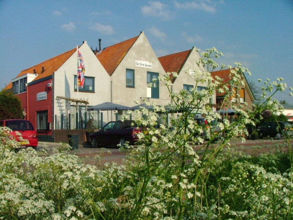 Bruist Hotell Cadzand Exteriör bild